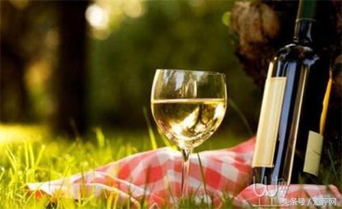 你知道饮酒有七大门派吗？赶紧来看看自己属于哪一派！