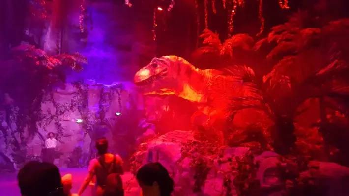 广州长隆野生动物园游玩路线攻略,广州番禺长隆野生动物园详细攻略