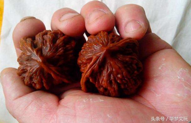 文玩核桃棱一个粗一个细值得盘吗,文玩核桃三分盘七分刷是什么意思