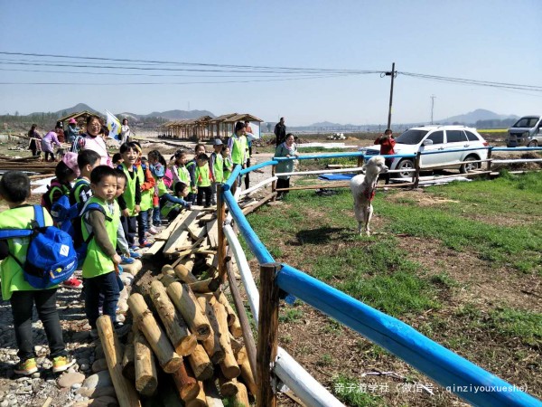 春游记浪漫花季,花谷踏青赏花春游记