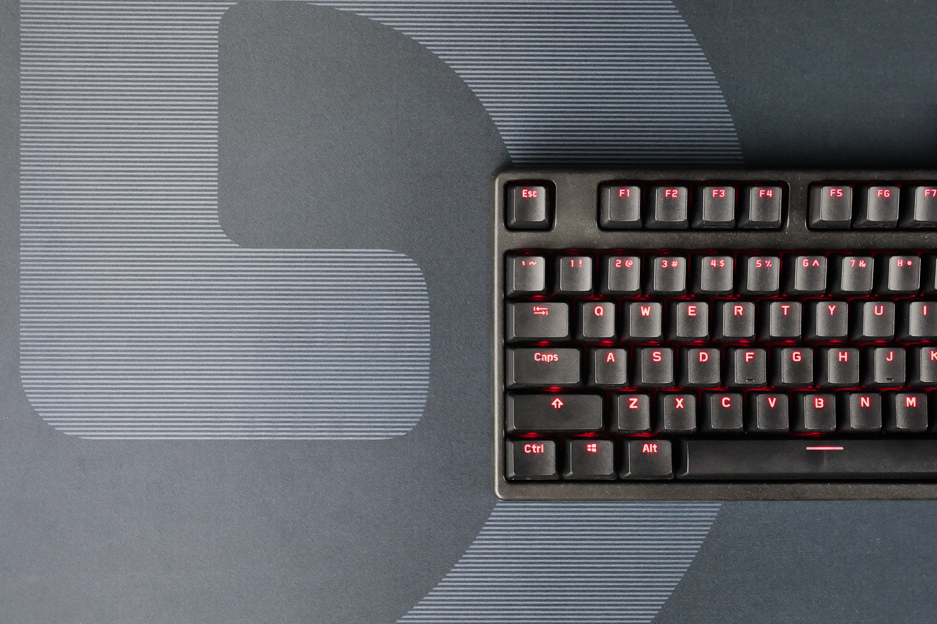 富勒系列,富勒新品