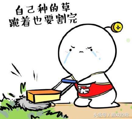 被种草后购买什么东西,又被种草了的说说