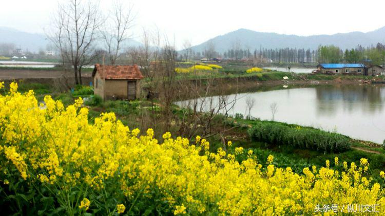 鏋炲窛灞辨按,鏋炲窛