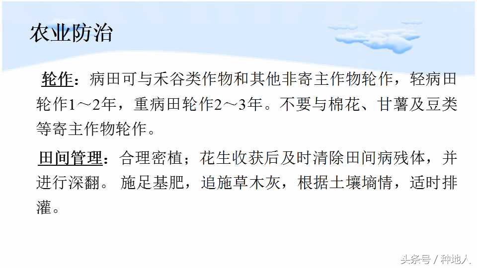 马上开始播种花生,快要种花生了