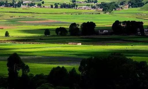 四川不可不去的十个景区,四川湿地风景区