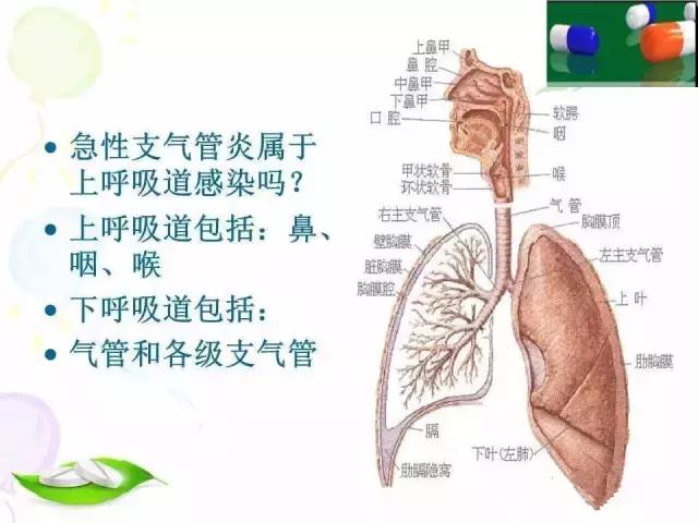 基层用药:各类处方点评之典型案例分析