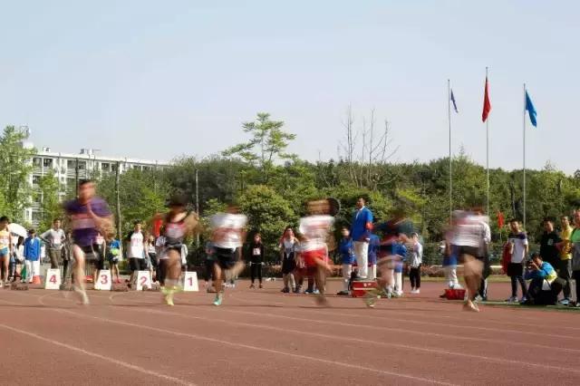 西交大校运会,西南科技大学2019年校运会开幕式