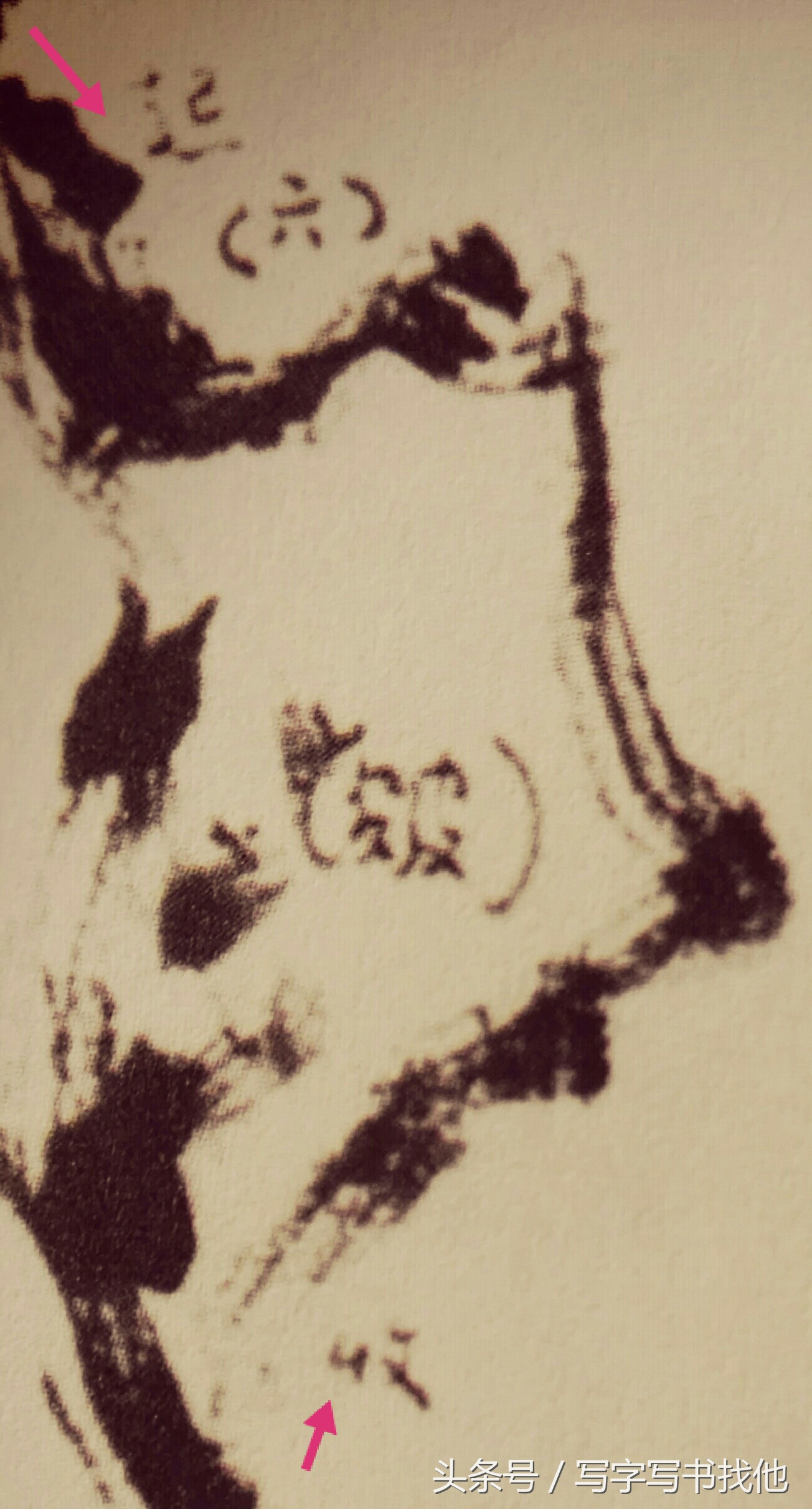 画湖石的每个步骤和技巧以及注意事项，全在这里