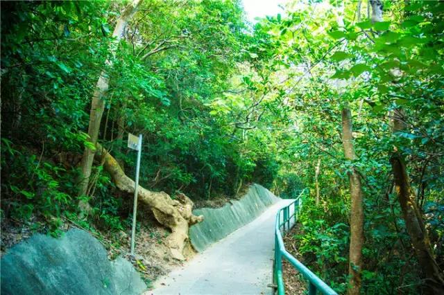 香港tvb的发展历程,香港tvb怀旧之旅