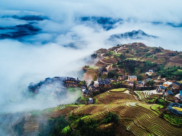 春季手机摄影大赛,摄影有哪些大赛