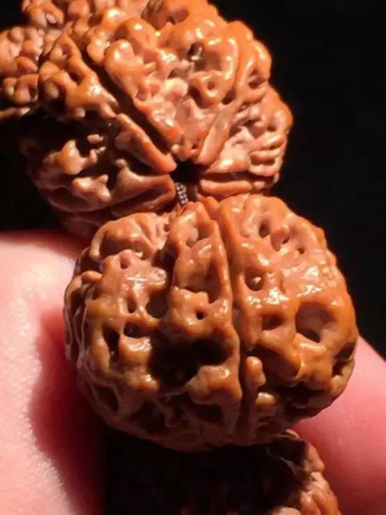 爆肉金刚咋看真假,金刚1024正品和仿品