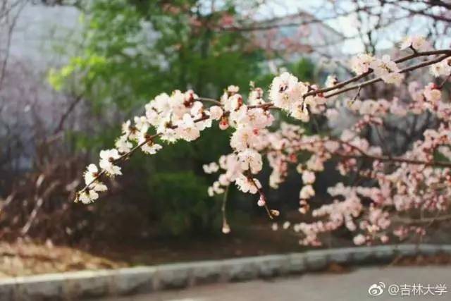 林志玲360无死角是真的美,全球最美360无死角的美女