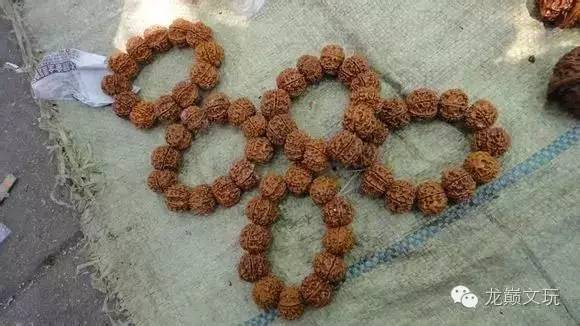 变形金刚假的冒牌货,金刚如何辨别品种和品相