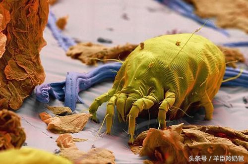 宝宝湿疹一直反复发作是什么原因,宝宝湿疹反复发作怎么办