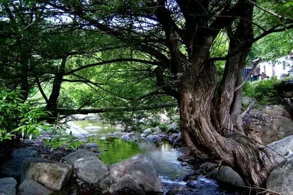贾平凹的真实故居,贾平凹家乡旅游攻略