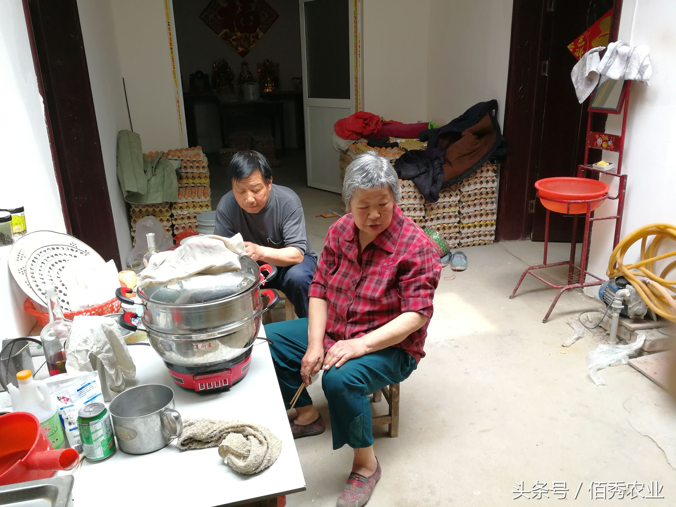 五毛钱一个的变蛋，能治痢疾肚子疼！