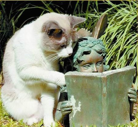 “损人”的巧妙语句有哪些呢？