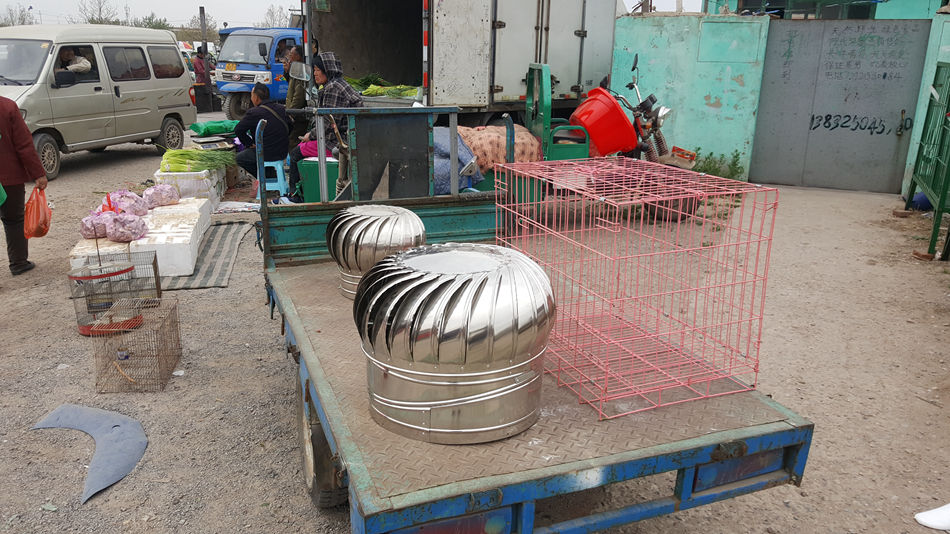 唐山市乐亭县大集,河北唐山乐亭大集