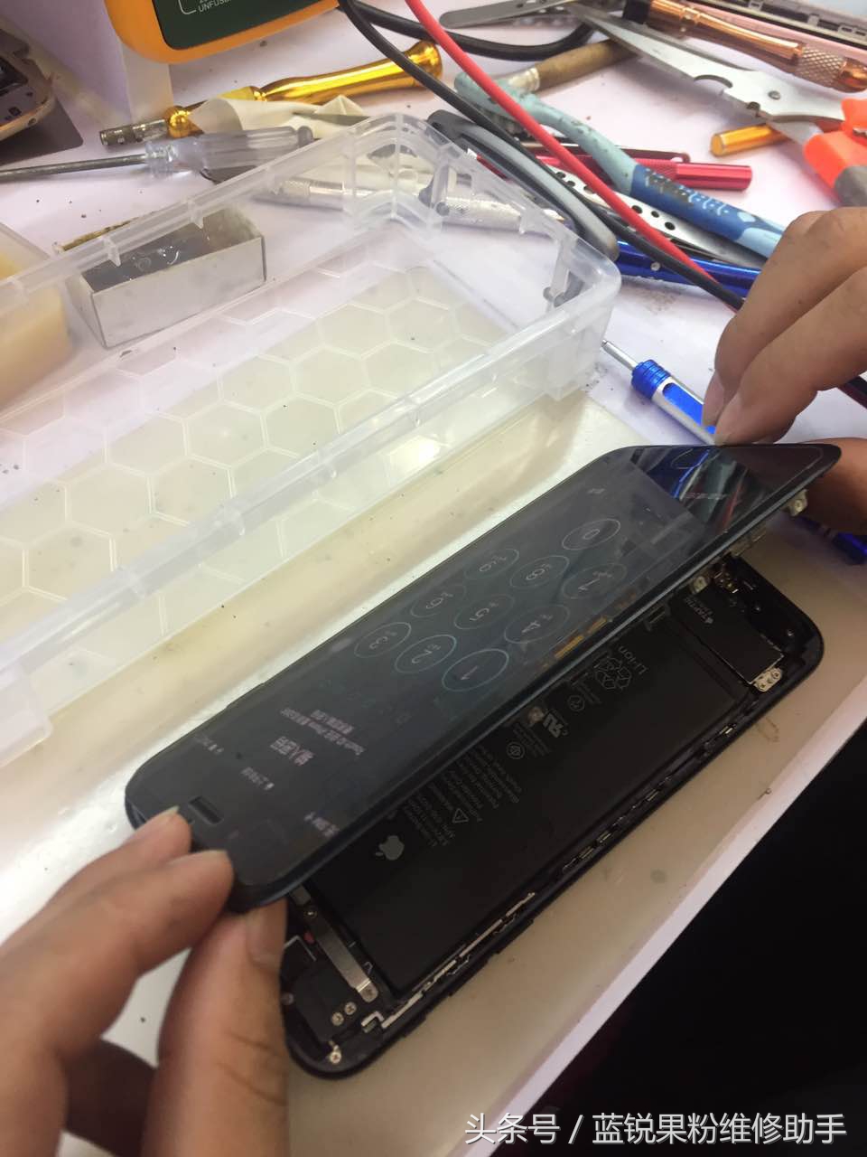 iphone7plus进水屏幕会干嘛,iphone7plus进水坏了怎么办