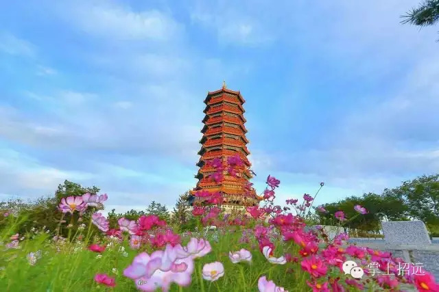 招远地名来历,招远地名大全