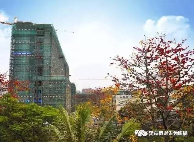 东莞市南城公立医院,东莞医疗机构曝光