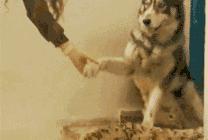 流汤滴水的手汗症可以这样治！