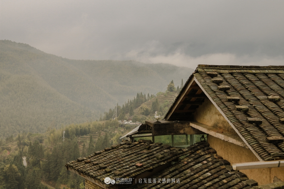 约定今生来世,我会等你——大鱼海棠