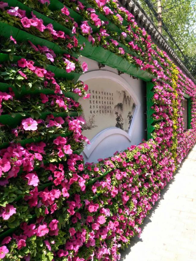 新城区新型园林绿化施工,新城区庭院园林绿化一体化