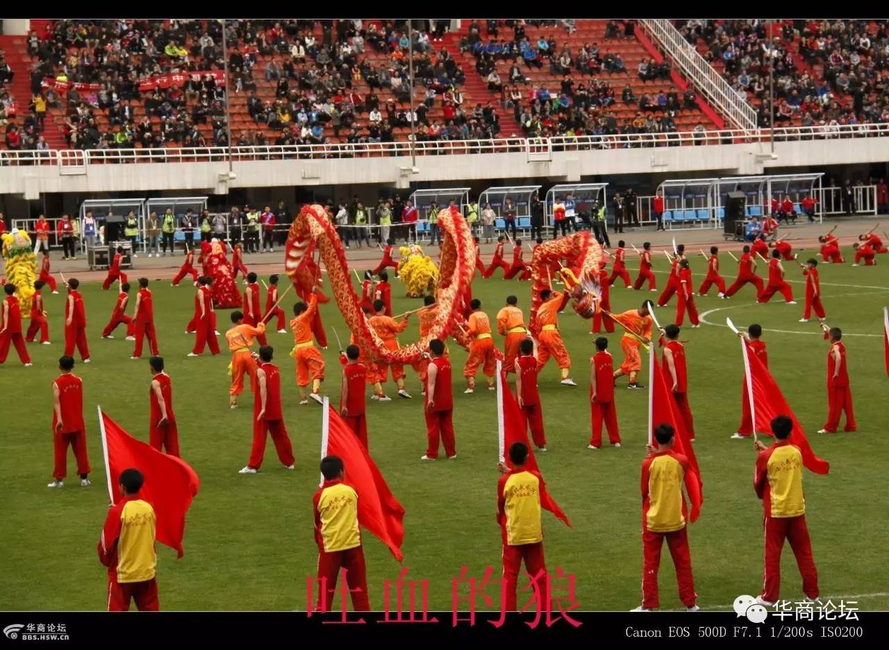 陕西大秦之水足球震撼的场面,最新大秦之水足球俱乐部比赛