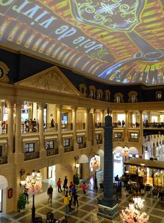 与日本冬天不期而遇,与日本冬天不期而遇后续