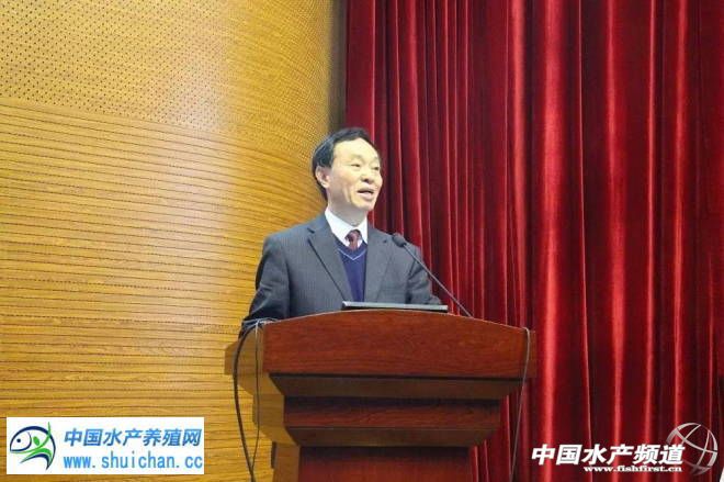 治水霉病的专用药,水霉病特效药市场