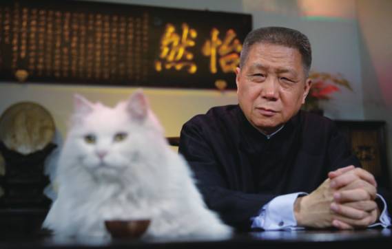 观复猫博物馆的猫咪,观复猫博物馆在什么地方