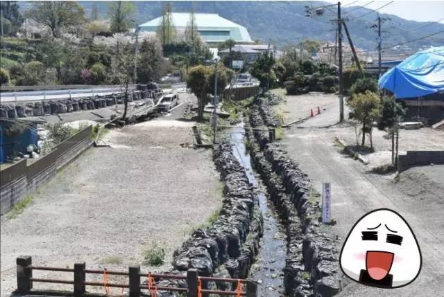 熊本县熊本熊,2019熊本熊到访城市