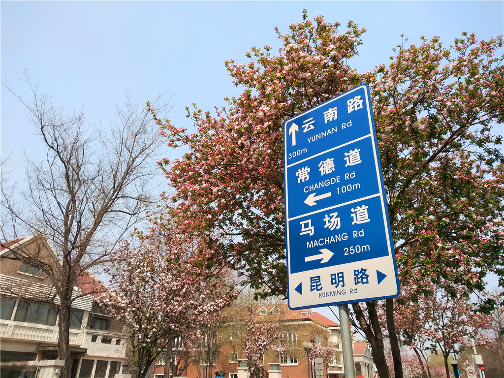 慢行津门，悠*行游**摄——小C的遇见天津之旅