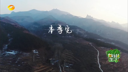 赵丽颖参加向往的生活可爱片段,向往的生活何老师和谢依霖的对话