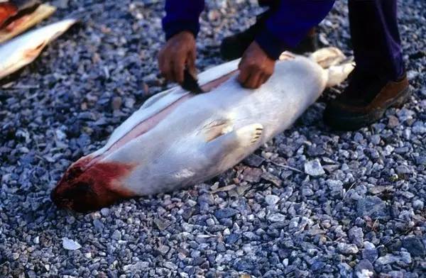 5种“臭味”出名的美食,几种臭味美食不能接受
