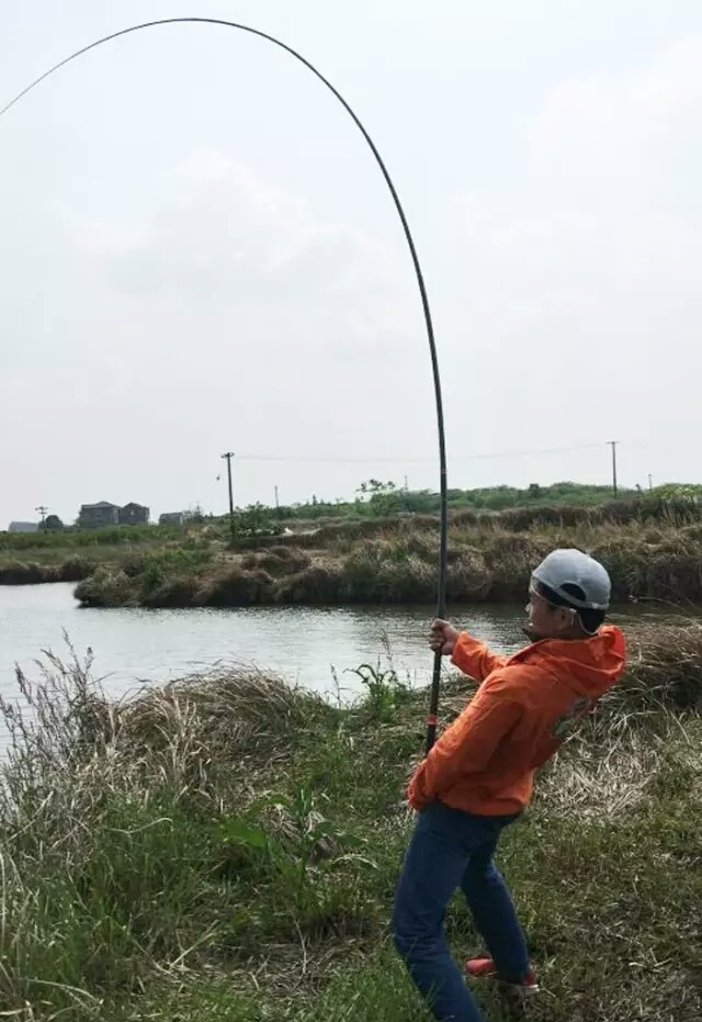 「二十八」小药篇：氨基酸丰富饵料营养，增加适口性