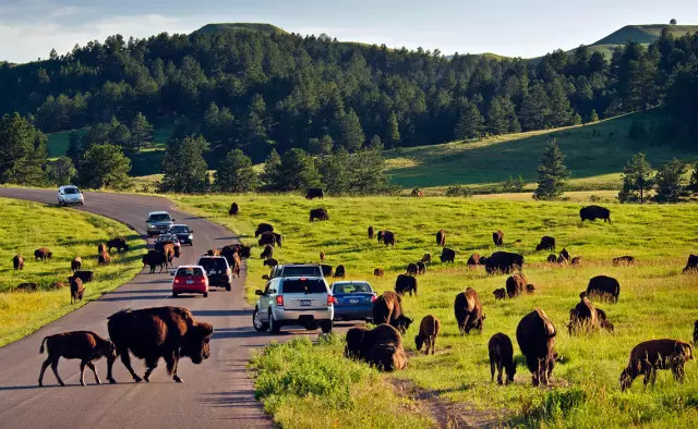 全美风景最美的国家公园,全美50大州立公园