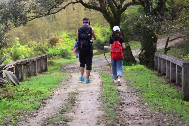 驴游记照片,驴游记全部视频