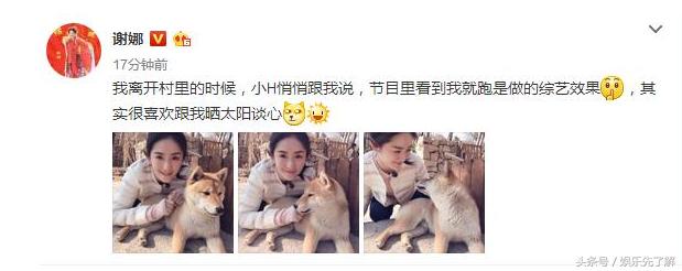 谢娜被怼小s,谢娜的一些举动引起了大家的注意