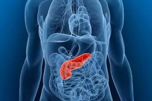 乔布斯的癌症治疗过程,史蒂夫乔布斯抗癌