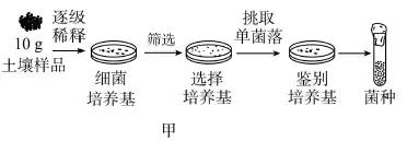 生物技术实践视频,生物技术实践
