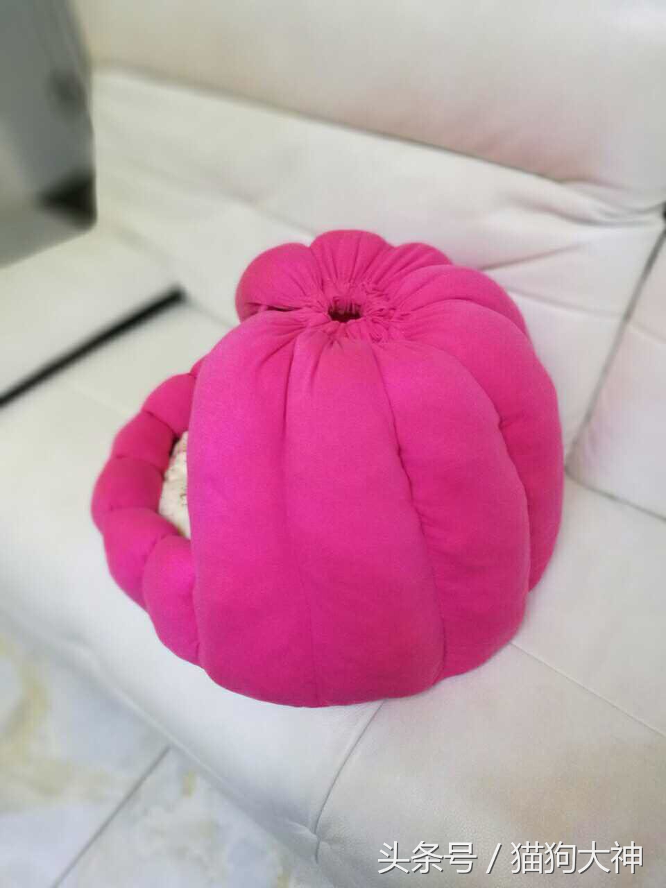 漂亮的狗窝怎么做,漂亮的狗窝