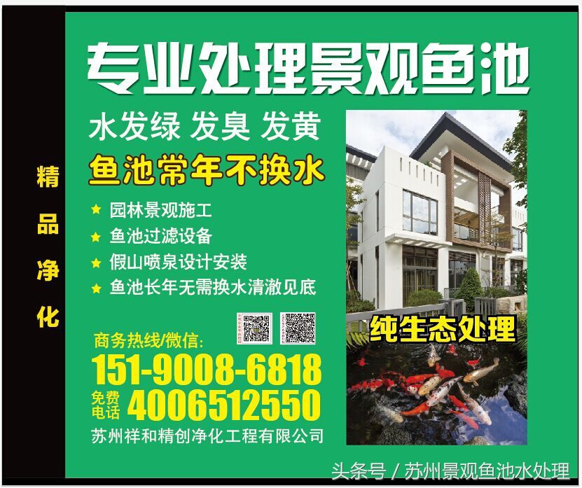 观赏鱼用药,观赏鱼鱼药的使用方法和注意事项