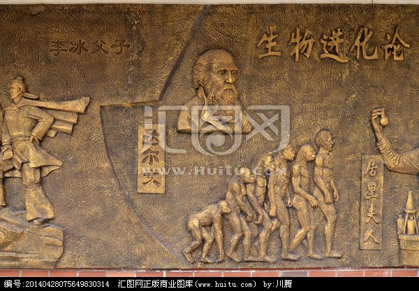 当达尔文观察进化论揭示物种起源,达尔文进化论和物种起源一个书么