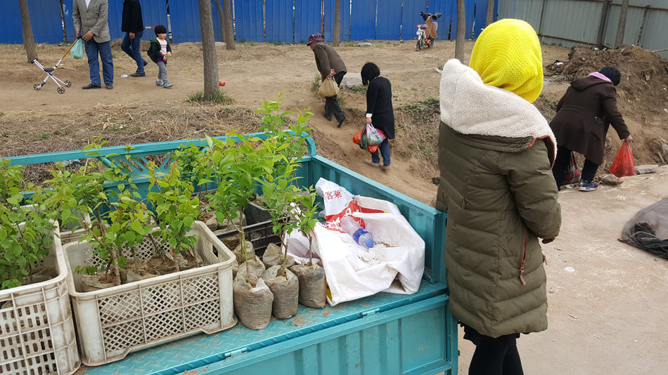 唐山市乐亭县大集,河北唐山乐亭大集