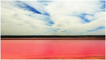 海量原料成本比别人高1-3倍,这家公司咋做生意的?