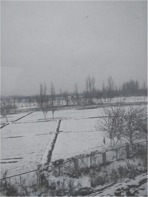 和田玉羊毛鞋垫,和田玉游记视频