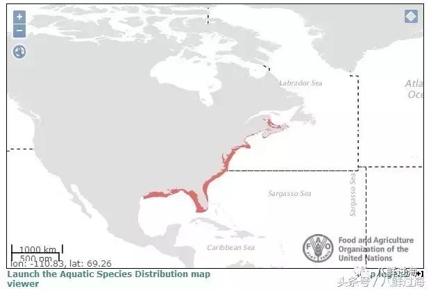 鍔犳嬁澶у寳鏋佽礉鎺ㄨ崘,榛勯噾璐濆寳鏋佽礉