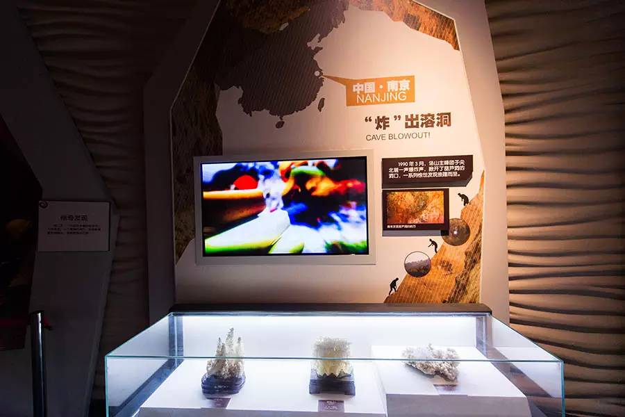 探寻人类的起源之谜,探寻人类祖先的奥秘